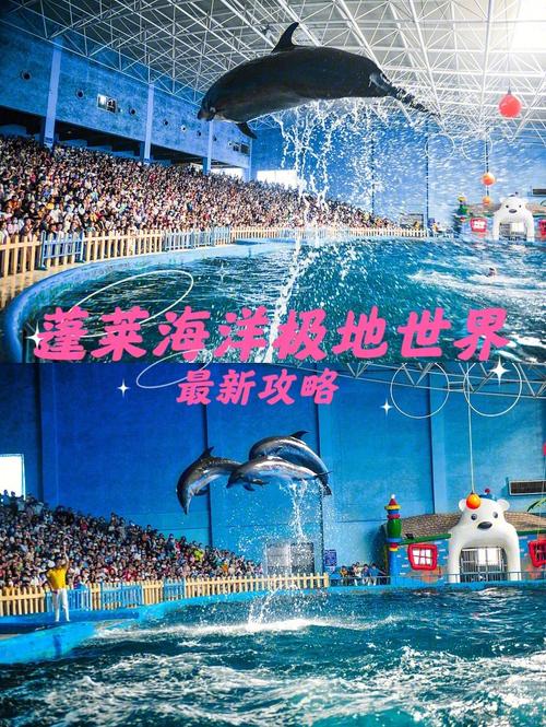 蓬莱海底世界春节期间营业时间?蓬莱极地海洋停车收费-图2 蓬莱海底世界春节期间营业时间?蓬莱极地海洋停车收费-图2