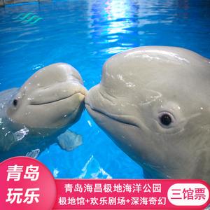青岛海洋馆门票?青岛海水浴场咋收费-图3 青岛海洋馆门票?青岛海水浴场咋收费-图3