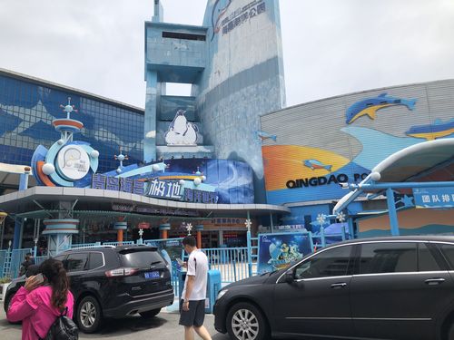 海昌海洋公园停车为什么那么贵?青岛极地停车场收费-图2 海昌海洋公园停车为什么那么贵?青岛极地停车场收费-图2