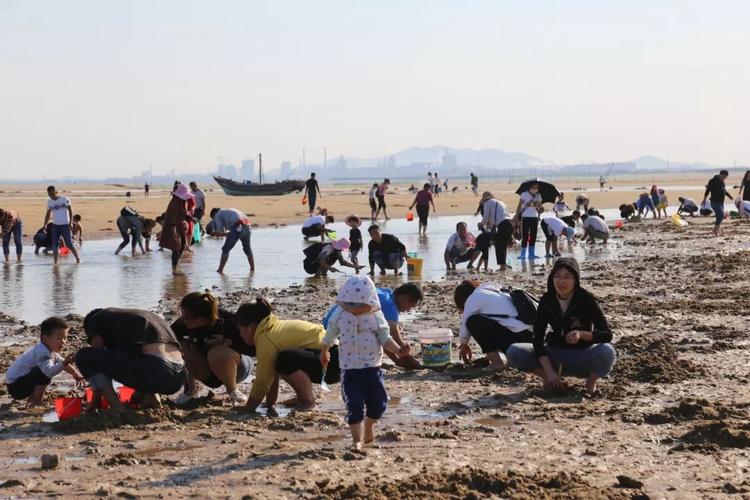 我想知道日照免费赶海有哪些地方?日照赶海不收费的地方-图2 我想知道日照免费赶海有哪些地方?日照赶海不收费的地方-图2
