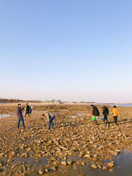 日照哪个地方赶海最好?日照赶海园收费不-图2 日照哪个地方赶海最好?日照赶海园收费不-图2