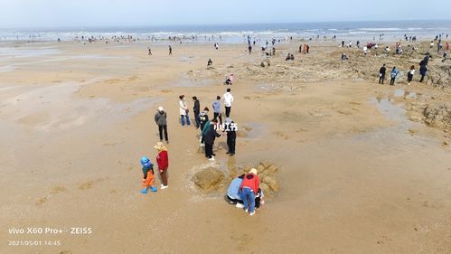 日照哪个地方赶海最好?日照赶海园收费不-图3 日照哪个地方赶海最好?日照赶海园收费不-图3