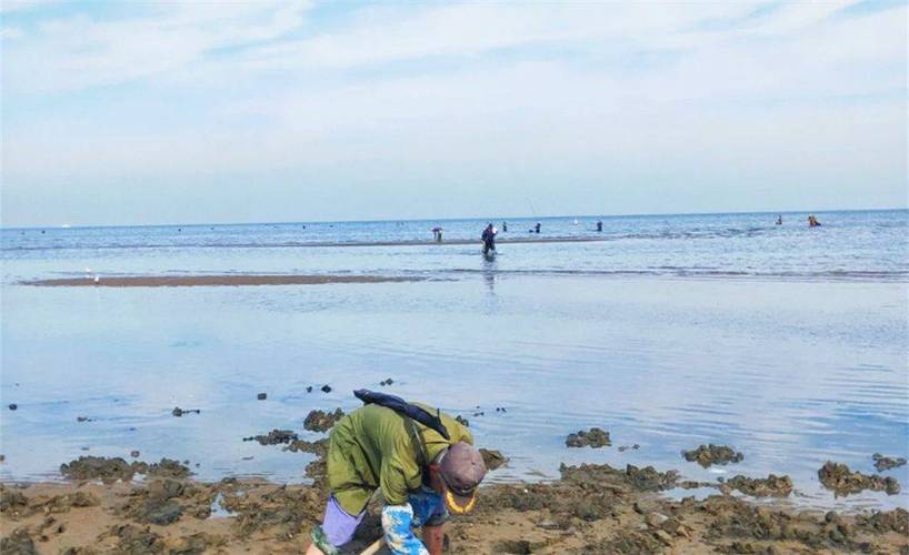 任家湾赶海时间?日照任家台赶海收费吗-图3 任家湾赶海时间?日照任家台赶海收费吗-图3