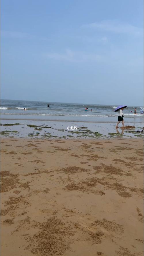 日照森林公园现在收费吗?日照市海滨浴场收费吗-图3 日照森林公园现在收费吗?日照市海滨浴场收费吗-图3