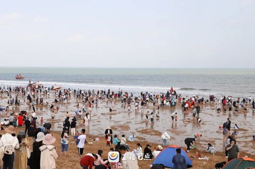 万平口洗澡费用?日照万平口收费一个月-图3 万平口洗澡费用?日照万平口收费一个月-图3