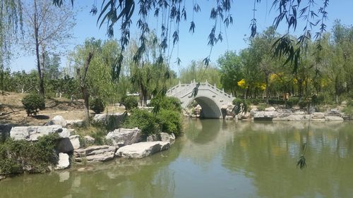 天津西站附近新开的公园?长虹生态园收费吗-图3 天津西站附近新开的公园?长虹生态园收费吗-图3