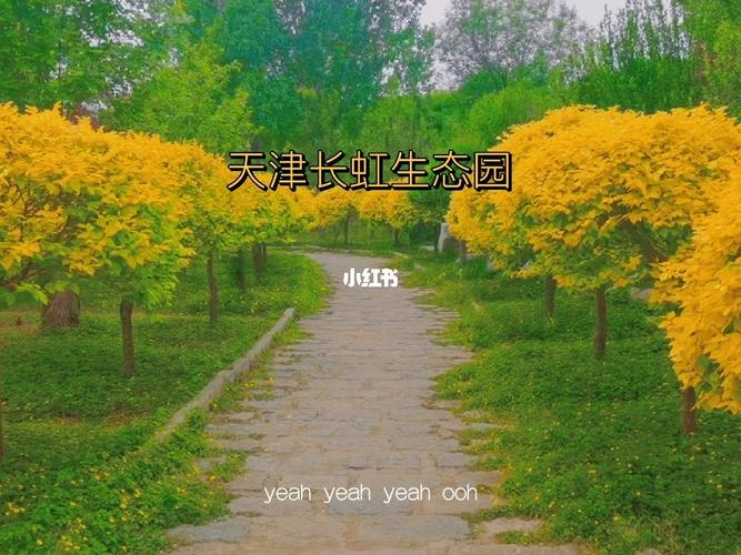 天津西站附近新开的公园？长虹生态园收费吗