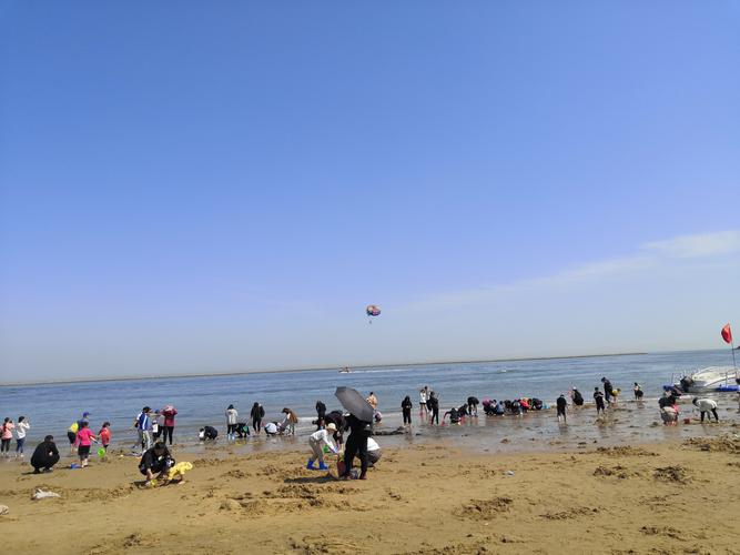 东疆湾沙滩景区收费标准?东疆湾沙滩景区不收费-图2 东疆湾沙滩景区收费标准?东疆湾沙滩景区不收费-图2