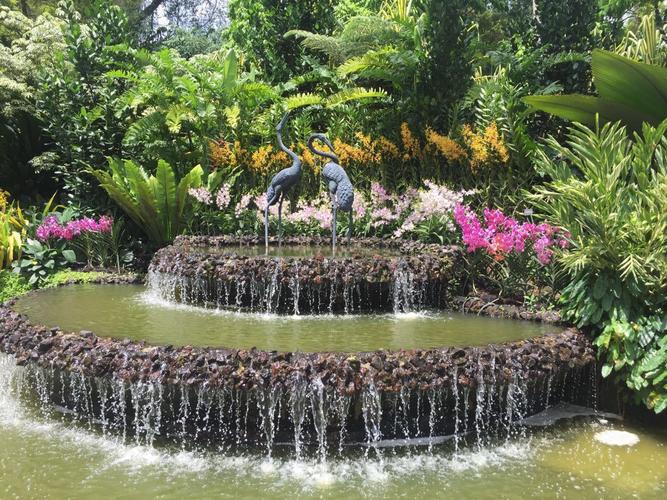 加沙旅游攻略？新加坡植物园收费吗