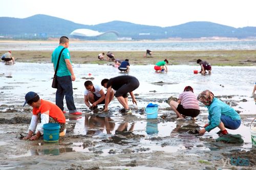 长岛可以赶海吗？烟台赶海收费吗