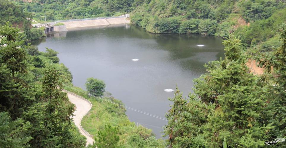 江浙沪哪里有水库钓鱼?浙江收费水库钓鱼-图2 江浙沪哪里有水库钓鱼?浙江收费水库钓鱼-图2