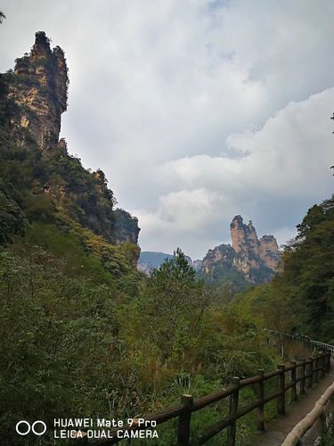 张家界十大奇峰?舟山定海发廊街收费-图1 张家界十大奇峰?舟山定海发廊街收费-图1