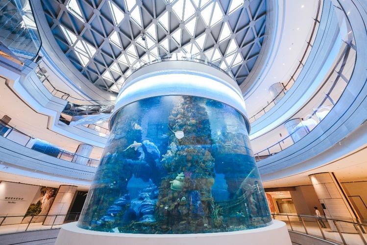 重庆星光68室内海洋馆收门票吗?重庆星光68停车收费-图3 重庆星光68室内海洋馆收门票吗?重庆星光68停车收费-图3