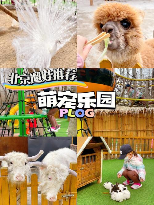 北京萌宠乐园排名？北京萌宠乐园收费标准