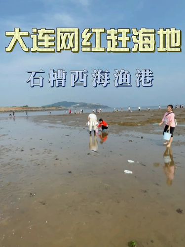 大连不用上岛也能赶海的地方？大连 哪里可以收费赶海
