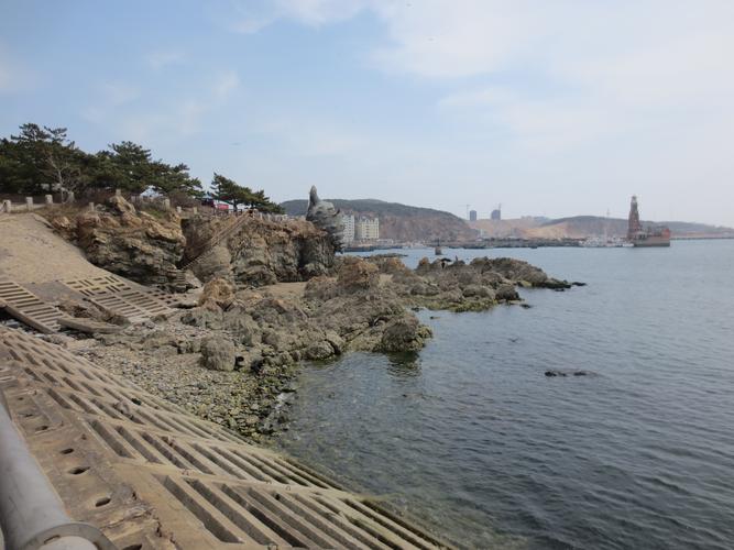 大连海边哪比较好玩还的价钱便宜的?大连老虎滩怎么收费-图3 大连海边哪比较好玩还的价钱便宜的?大连老虎滩怎么收费-图3