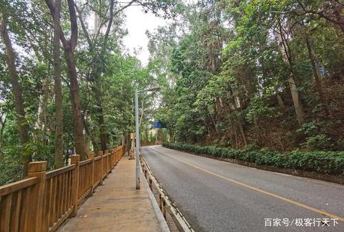东莞大岭山森林公园需要入场费吗?大岭山广场路停车收费-图2 东莞大岭山森林公园需要入场费吗?大岭山广场路停车收费-图2