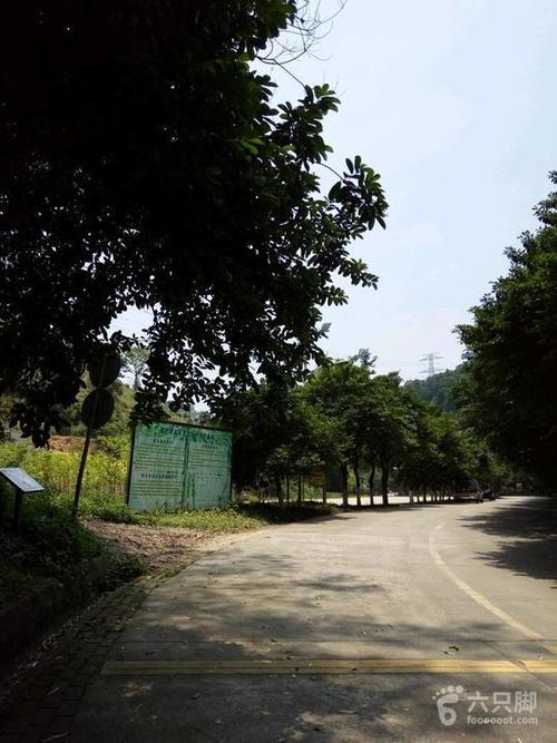 东莞大岭山森林公园需要入场费吗?大岭山广场路停车收费-图3 东莞大岭山森林公园需要入场费吗?大岭山广场路停车收费-图3