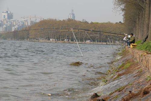 湘阴东湖可以钓鱼吗?广州东湖钓鱼怎么收费-图3 湘阴东湖可以钓鱼吗?广州东湖钓鱼怎么收费-图3