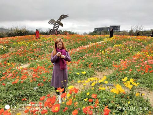 自驾去福州花海公园如何停车?花海公园停车场收费-图2 自驾去福州花海公园如何停车?花海公园停车场收费-图2