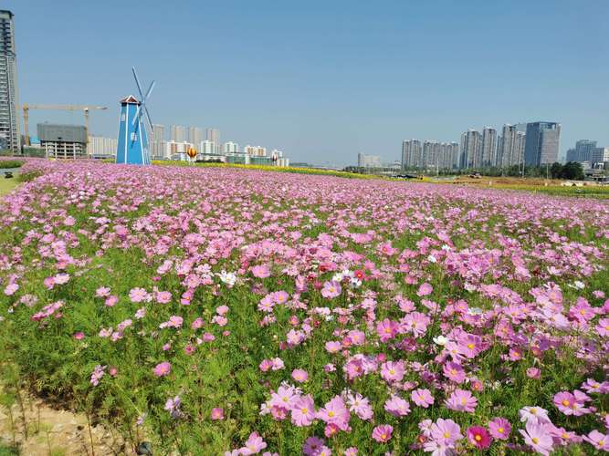 自驾去福州花海公园如何停车?花海公园停车场收费-图1 自驾去福州花海公园如何停车?花海公园停车场收费-图1
