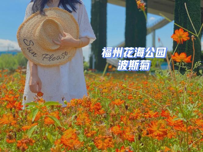 自驾去福州花海公园如何停车?花海公园停车场收费-图3 自驾去福州花海公园如何停车?花海公园停车场收费-图3
