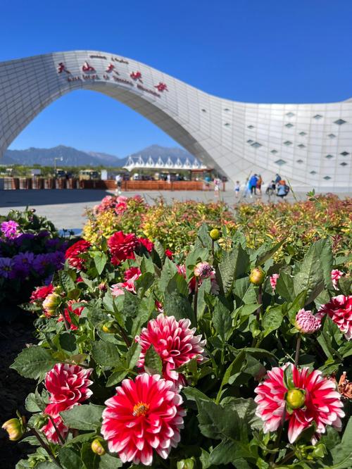 天山号怎么订票?乌鲁木齐天山大道收费-图3 天山号怎么订票?乌鲁木齐天山大道收费-图3