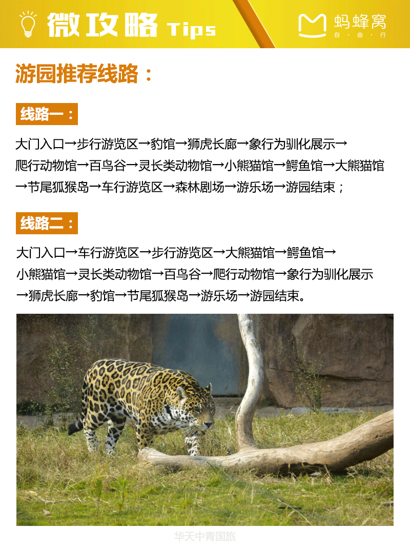 生态动物园文案?五洲情停车场收费吗-图1 生态动物园文案?五洲情停车场收费吗-图1