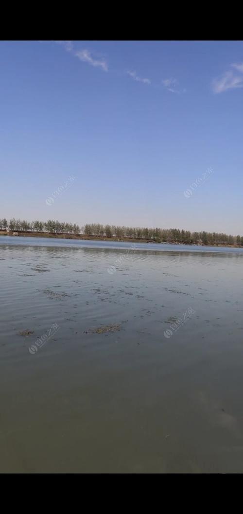 蚌埠龙湖钓鱼规定?蚌埠大明园钓鱼收费-图3 蚌埠龙湖钓鱼规定?蚌埠大明园钓鱼收费-图3