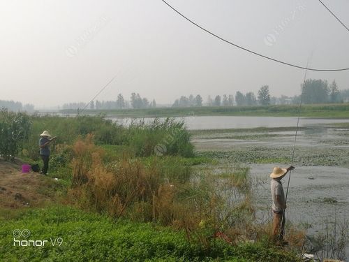蚌埠野钓地点推荐?蚌埠哪里能收费钓鱼-图2 蚌埠野钓地点推荐?蚌埠哪里能收费钓鱼-图2