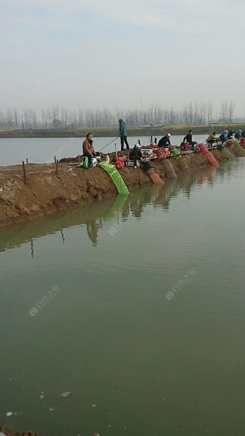 蚌埠野钓地点推荐?蚌埠哪里能收费钓鱼-图3 蚌埠野钓地点推荐?蚌埠哪里能收费钓鱼-图3