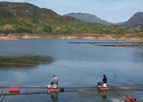 石家庄钓鱼地点?北正水库收费标准-图2 石家庄钓鱼地点?北正水库收费标准-图2