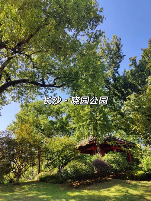 长沙有那几个免费公园?长沙哪些公园收费-图3 长沙有那几个免费公园?长沙哪些公园收费-图3