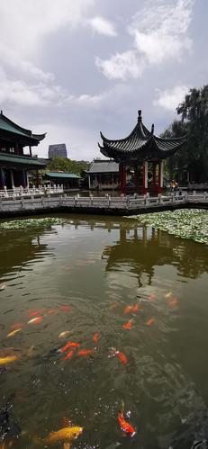 2021国庆节昆明免费公园？翠湖公园收费吗
