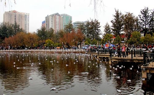2021国庆节昆明免费公园?翠湖公园收费吗-图3 2021国庆节昆明免费公园?翠湖公园收费吗-图3