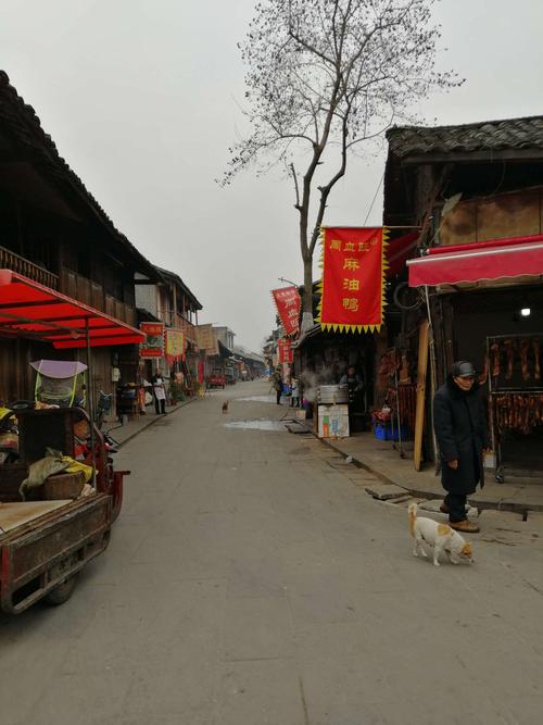 新场古镇停车费是多少?大邑新场古镇收费-图3 新场古镇停车费是多少?大邑新场古镇收费-图3