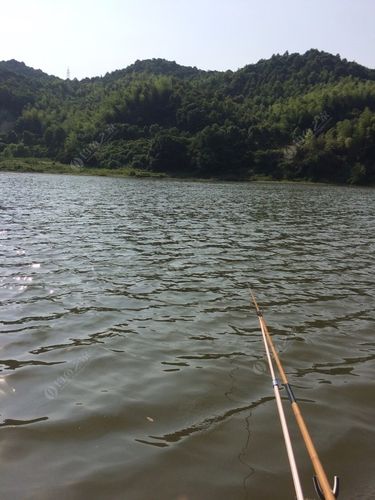 现在钓鱼的收费标准是多少水库现在可以钓鱼吗？钓鱼怎样收费