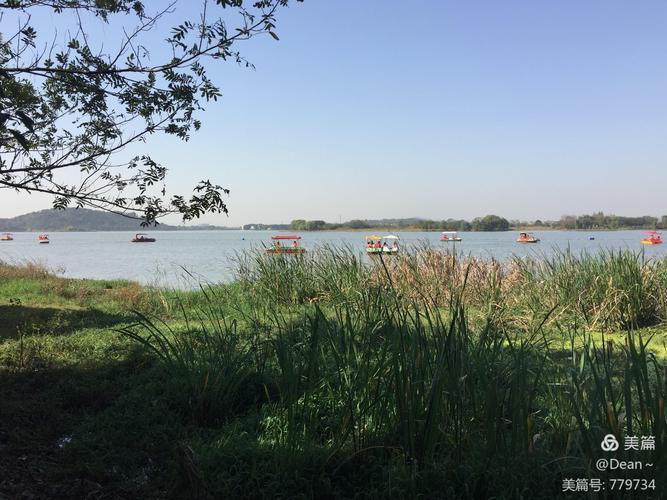 后官湖湿地公园可以露营过夜吗?后官湖湿地公园收费吗-图2 后官湖湿地公园可以露营过夜吗?后官湖湿地公园收费吗-图2