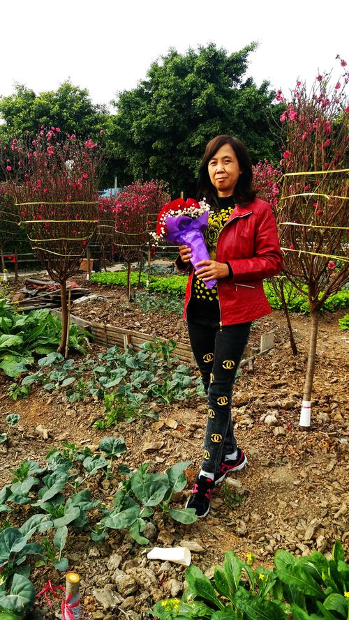 广州芳村附近好玩的地方推荐?花卉园垂钓收费吗-图2 广州芳村附近好玩的地方推荐?花卉园垂钓收费吗-图2