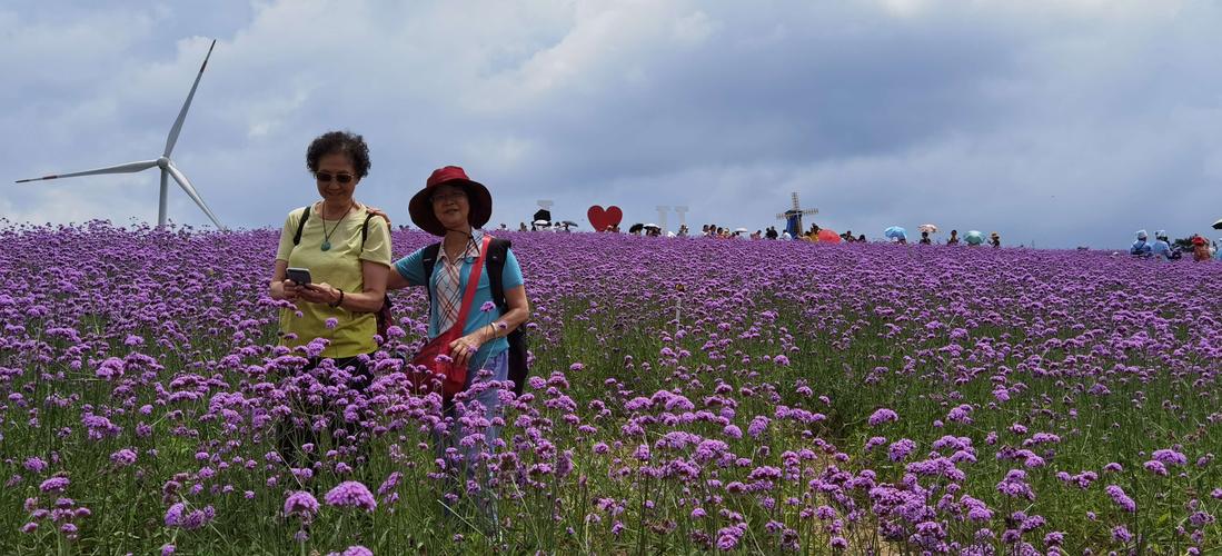 云顶花海的门票?金川 花海收费吗-图2 云顶花海的门票?金川 花海收费吗-图2