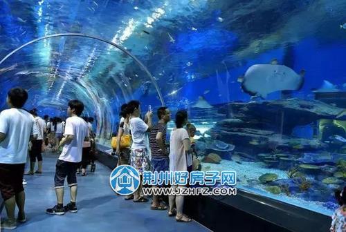 离荆州最近的海边是哪里?荆州海洋公园怎么收费-图3 离荆州最近的海边是哪里?荆州海洋公园怎么收费-图3