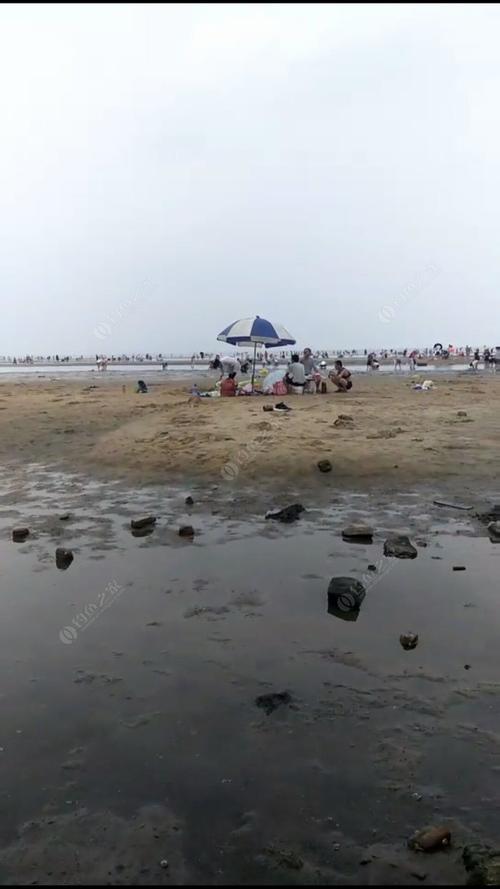 虎头崖哪里好钓鱼莱州虎头崖哪里好钓鱼望大神?莱州虎头崖赶海收费吗-图1 虎头崖哪里好钓鱼莱州虎头崖哪里好钓鱼望大神?莱州虎头崖赶海收费吗-图1