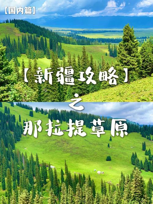 那拉提自驾车门票300元包含门票吗?那拉提草原的收费项目-图2 那拉提自驾车门票300元包含门票吗?那拉提草原的收费项目-图2