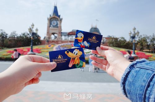 迪士尼有多少项目?上海迪斯尼七大项收费-图3 迪士尼有多少项目?上海迪斯尼七大项收费-图3