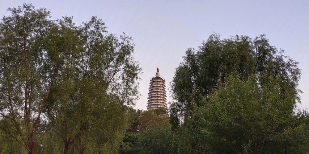 沈阳舍利塔公园坐几路公交车?舍利塔滩地公园收费吗-图3 沈阳舍利塔公园坐几路公交车?舍利塔滩地公园收费吗-图3