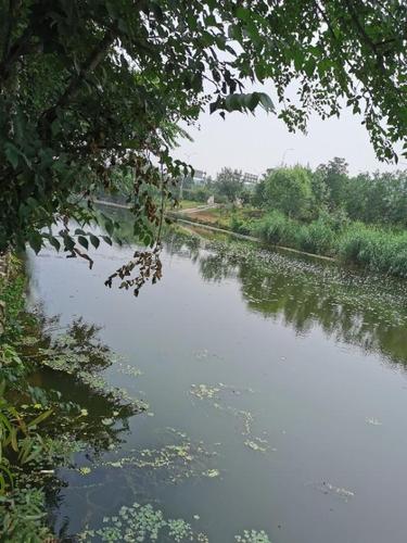 北京离市区最近的免费野钓地点在哪?鱼要能吃的?石景山收费钓鱼的地方吗-图2 北京离市区最近的免费野钓地点在哪?鱼要能吃的?石景山收费钓鱼的地方吗-图2