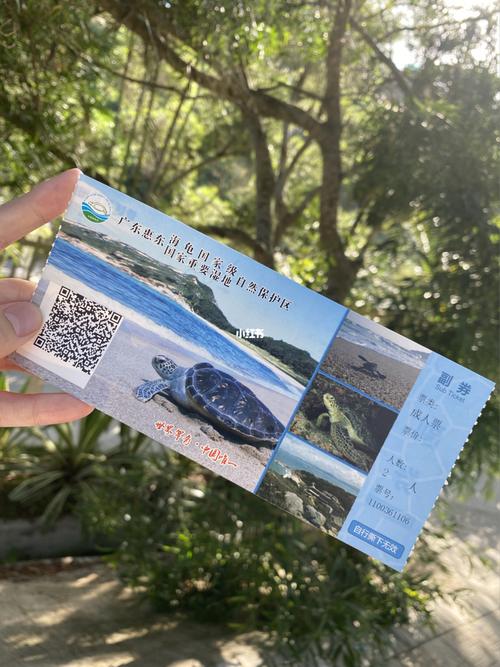 双月湾海龟自然保护区要门票吗?双月湾海边收费吗-图3 双月湾海龟自然保护区要门票吗?双月湾海边收费吗-图3