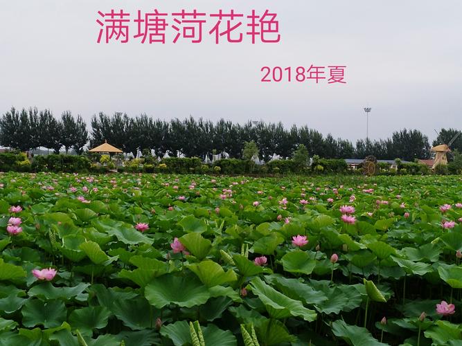 铁岭莲花湖门票多少钱?铁岭莲花湖湿收费吗-图2 铁岭莲花湖门票多少钱?铁岭莲花湖湿收费吗-图2