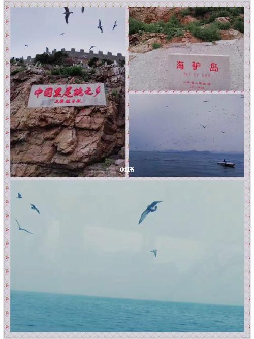 海驴岛门票预订须知?威海海驴岛收费吗-图3 海驴岛门票预订须知?威海海驴岛收费吗-图3