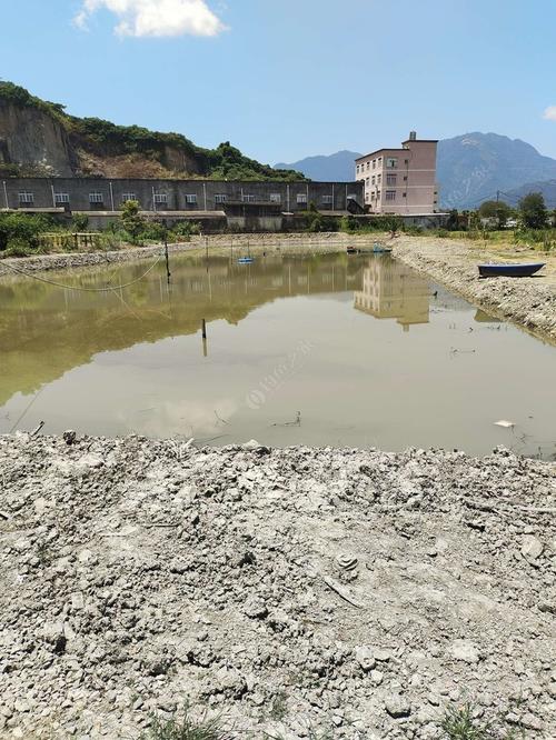 浙江钓鱼地点推荐?温州钓鱼收费-图3 浙江钓鱼地点推荐?温州钓鱼收费-图3